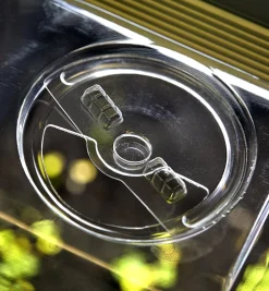 Propagation Tray, Dome, Grow Light & Timer Set