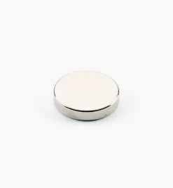 Rare-Earth Circular Magnets