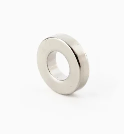 Rare-Earth Ring Magnets