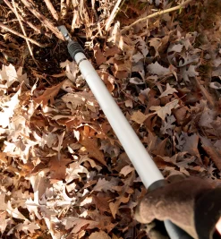 Raspberry Cane Cutter