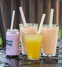 Reusable Slider Straws