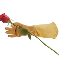 Rose Gloves, Women’s Sizes