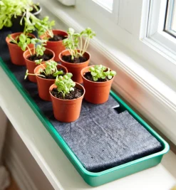 Self-Watering Windowsill Tray