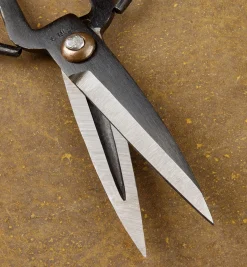 Set Of 3 Traditional Chinese Scissors