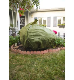 Shrub & Potted Plant Protector