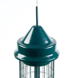 Squirrel Buster Classic Bird Feeder