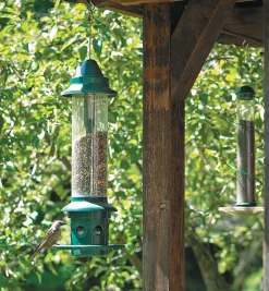 Squirrel Buster Plus Bird Feeder