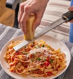 Stainless-Steel Rasp With Handle