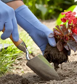 Start A Garden Bed Set