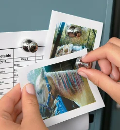 Super Magnet For The Fridge