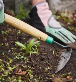 Traditional Japanese Weeder