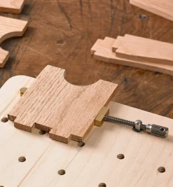 Veritas Miniature Wonder Dog