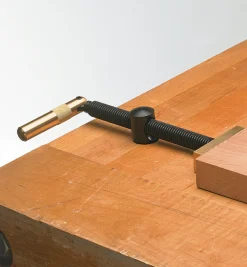 Veritas Wonder Dog & Wonder Pup