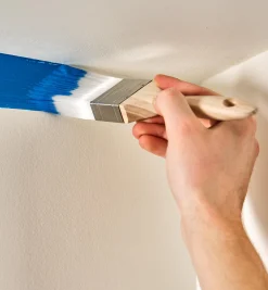 Zibra 2" Chiselled Wedge Brush