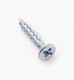 Zinc-Plated Hinge Screws